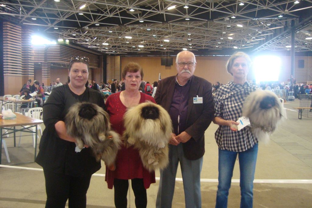 des hussards de l'empereur - EXPOSITION DE LYON 2019 TOUS LES CACIB ET RCACIB POUR NOS PETITS