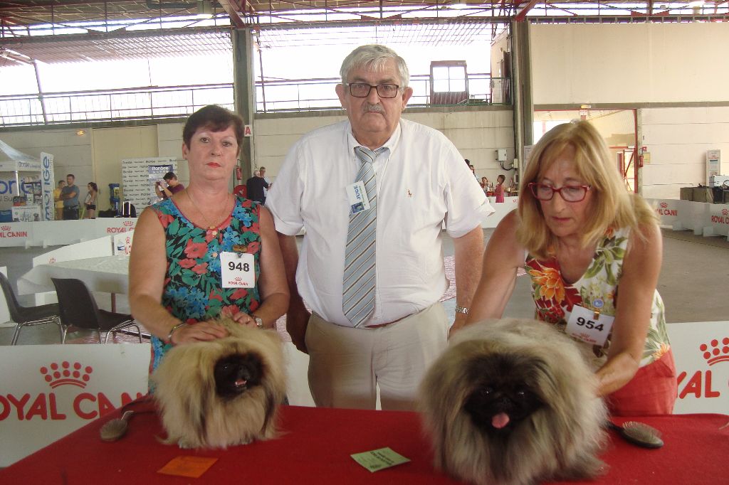 des hussards de l'empereur - ALES IOKINA MEILLEUR PEKINOIS DE LA SPECIALE