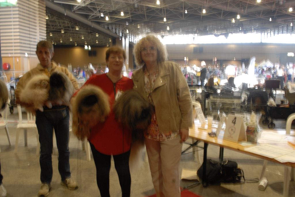 des hussards de l'empereur - exposition lyon speciale pekinois