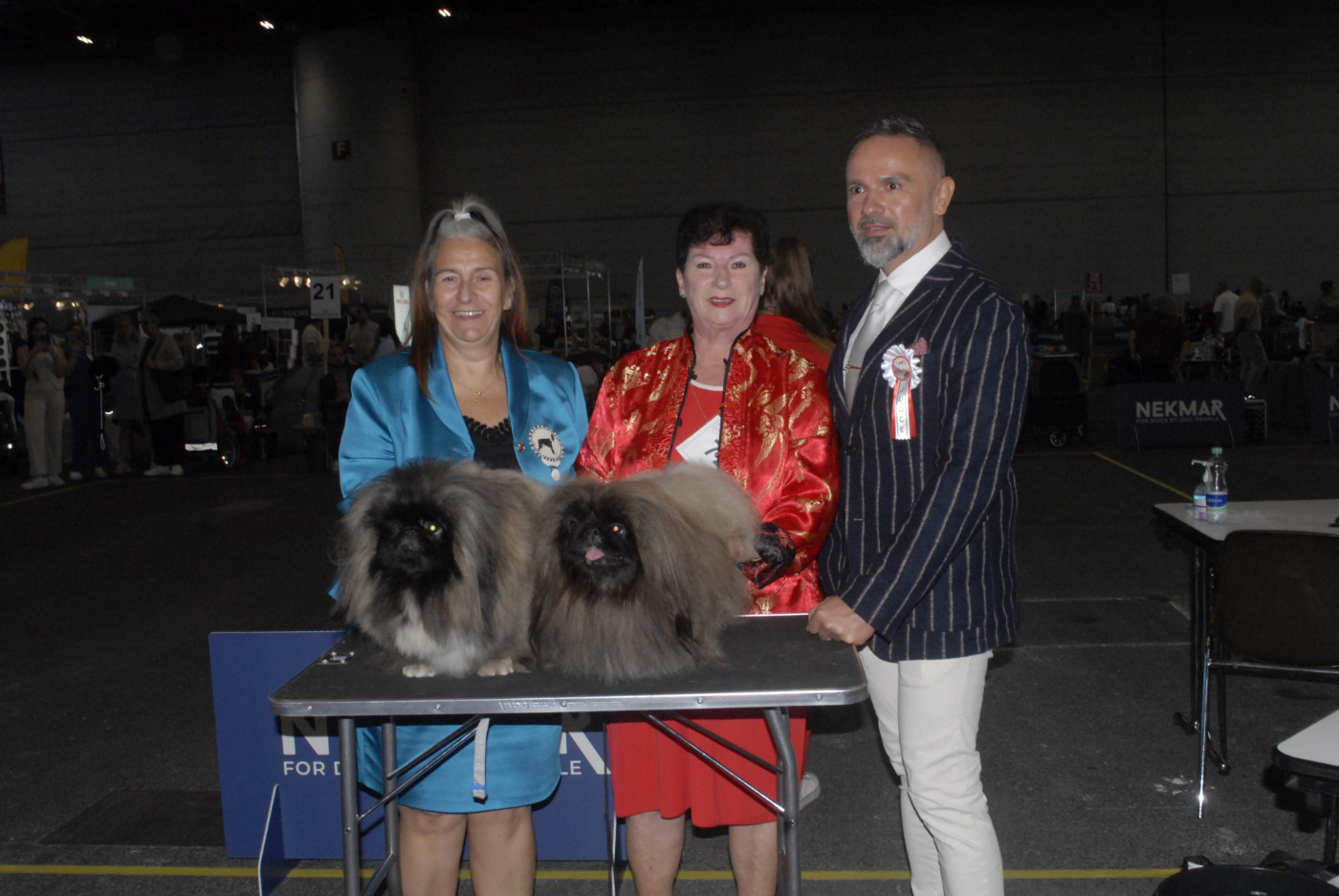 EXPOSITION CANINE DE GENEVE LE 2ET 3 OCTOBRE 2026 QUE DU BONHEUR