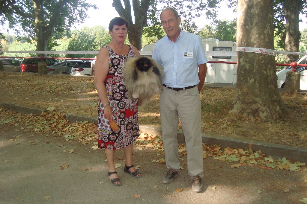des hussards de l'empereur - EXPOSITION CANINE DE SOMMIERES LE 9 AOUT 2020