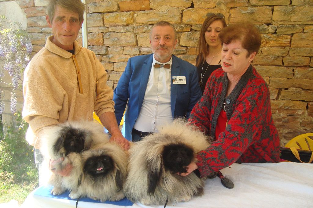 des hussards de l'empereur - EXPO DE ST AMBREUIL MAI 2022