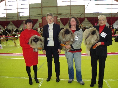 des hussards de l'empereur - SUCCES A BOURG EN BRESSE EXPO DU 18 FEVRIER 2012