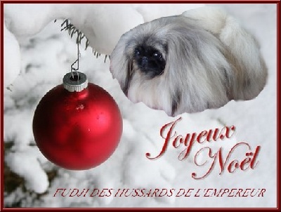 des hussards de l'empereur - JOYEUX NOEL 2011