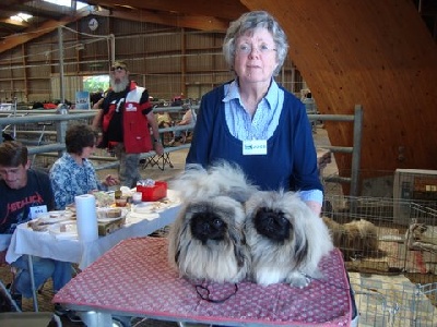 des hussards de l'empereur - GROS SUCCES A L EXPOSITION CANINE DE CHAROLLES