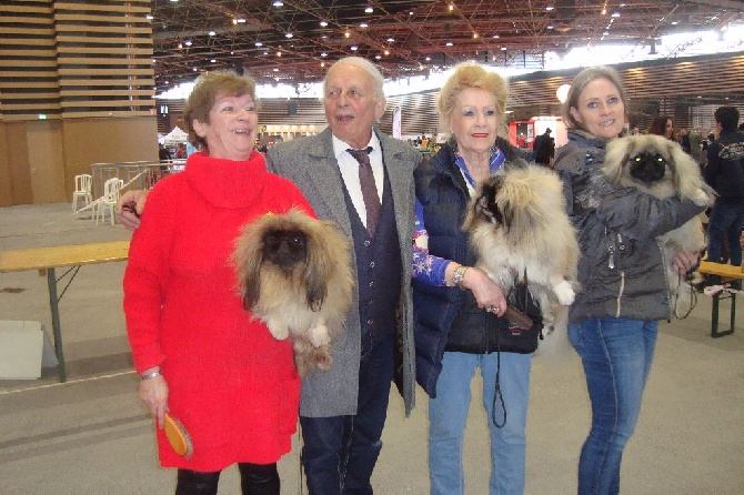 des hussards de l'empereur - NOMBREUX TITRES POUR L EXPO DE LYON 2016