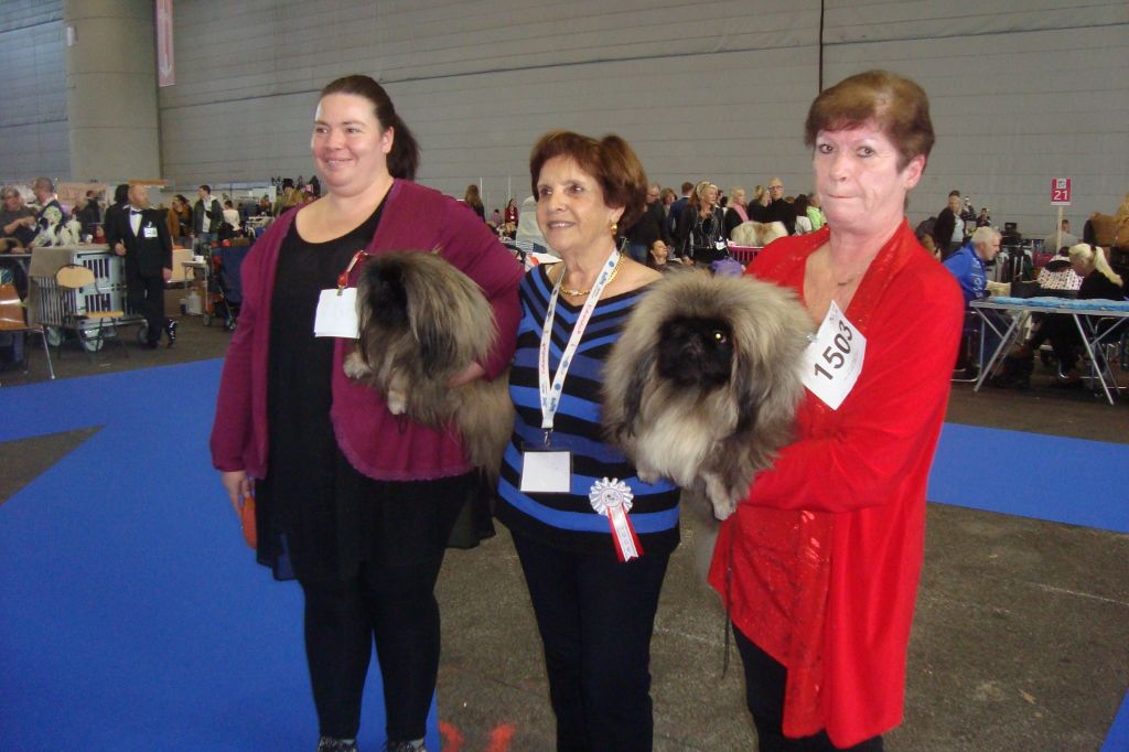 des hussards de l'empereur - exposition canine de GENEVE LES 2CACIB POUR NOS PETITS