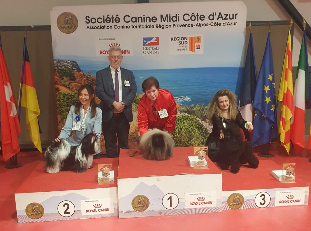 des hussards de l'empereur - EXPOSITION CANINE DE CAVAILLON 2025