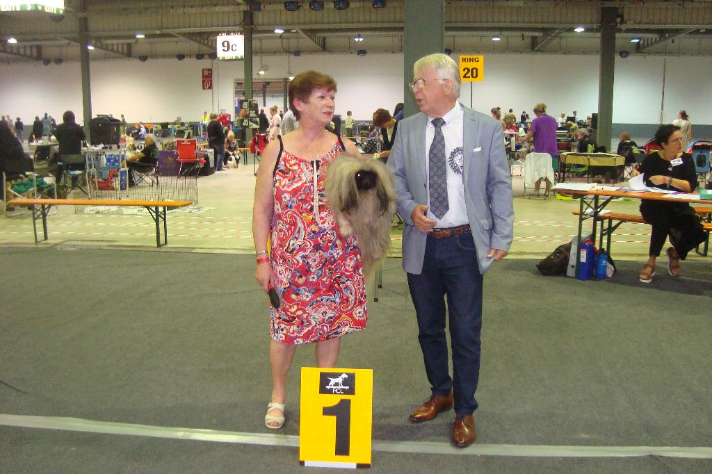 des hussards de l'empereur - EXPOSITION CANINE DU LUXEMBOURG