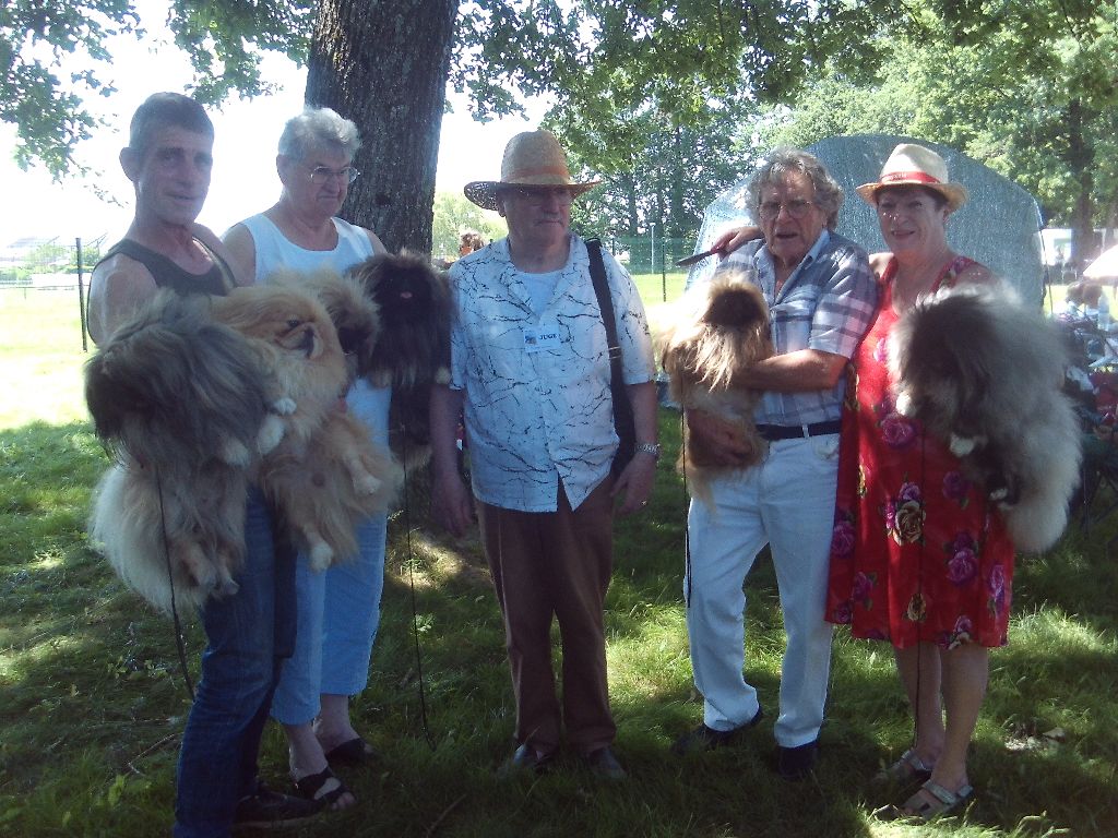 des hussards de l'empereur - exposition canine de Peronnas speciale pekinois