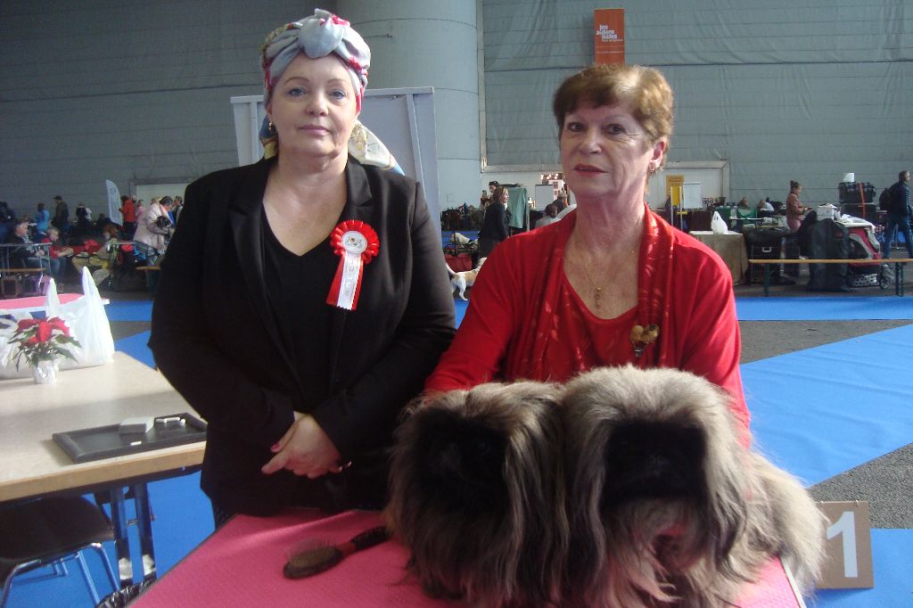 des hussards de l'empereur - EXPOSITION CANINE DE GENEVE NOVEMBRE 2021 2 NOUVEAUX CHAMPIONS SUISSE