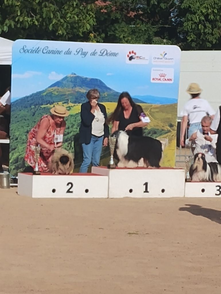 des hussards de l'empereur - exposition canine de chatel guyon aout 2024