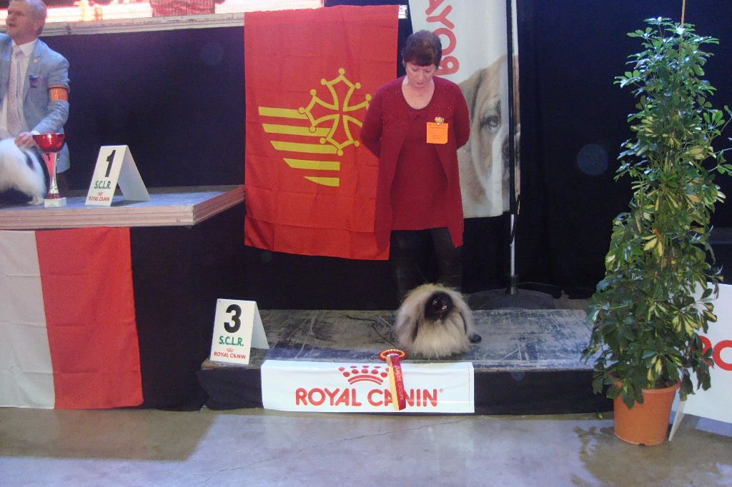 des hussards de l'empereur - FINALE PERPIGNAN JYPSI SUR LE PODUIM