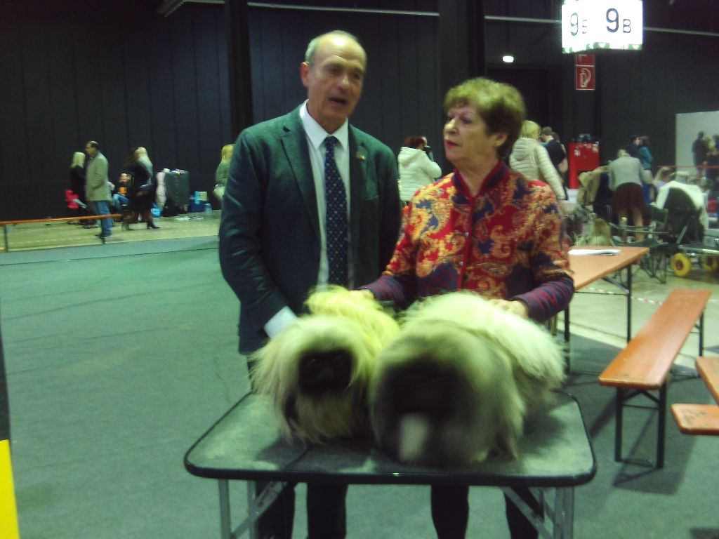 des hussards de l'empereur - EXPO LUXEMBOURG 2023