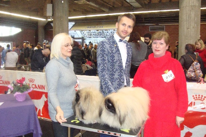 des hussards de l'empereur - 2CACIB ET 2 RESERVES TRANSFORMEES EN CACIB POUR L EXPOSITION CANINE DE